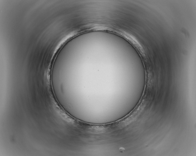 X0000112791190200909041406