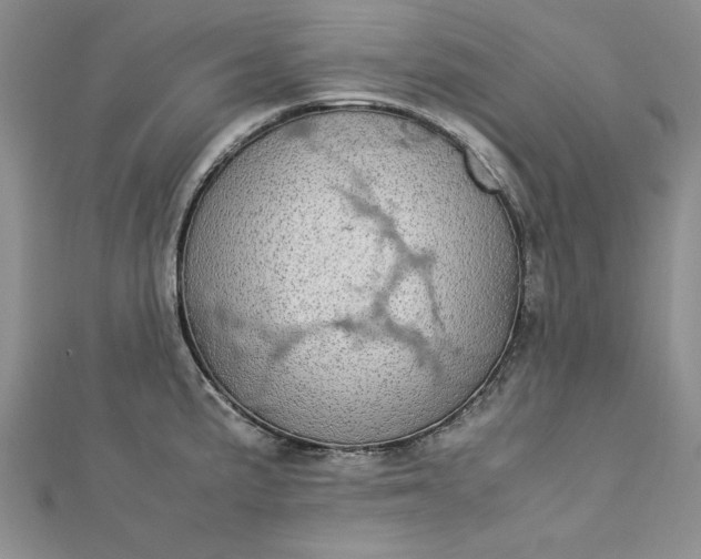 X0000112791191200909041406