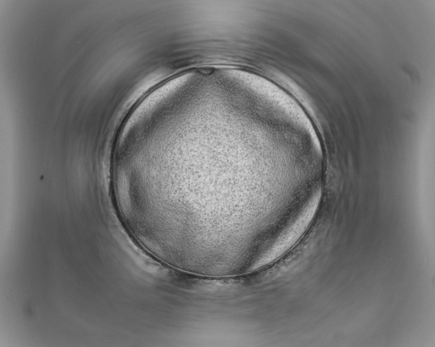 X0000112791195200909041406