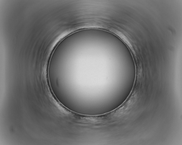 X0000112791197200909041406