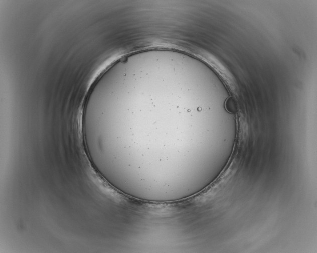 X0000112791198200909041406