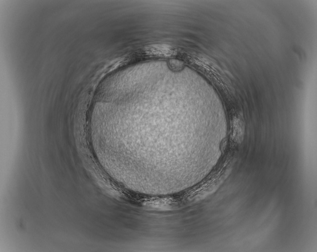 X0000112791201200909041405