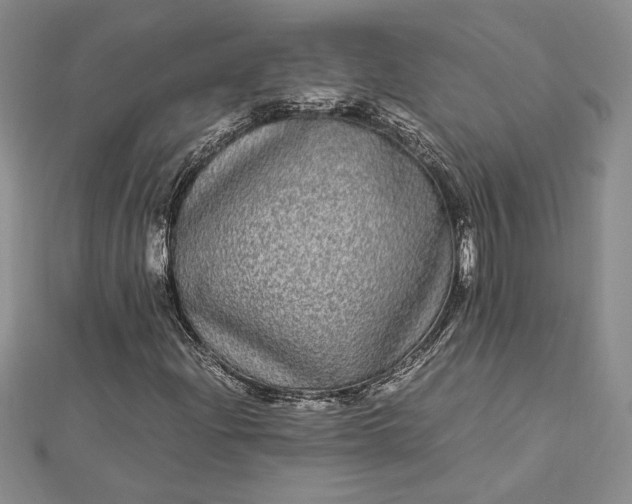 X0000112791204200909041405