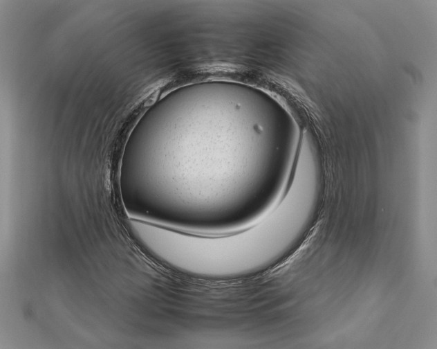 X0000112791209200909041405