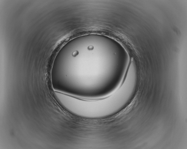 X0000112791210200909041405