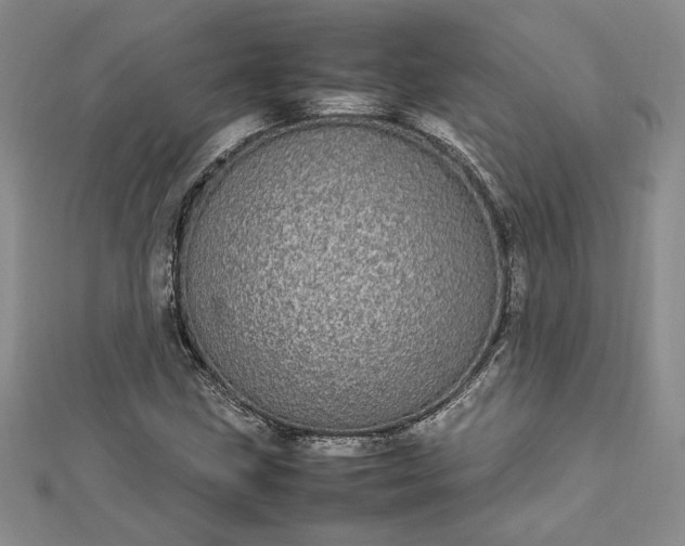 X0000112791211200909041405