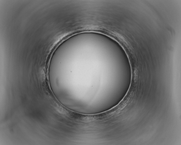 X0000112791212200909041405