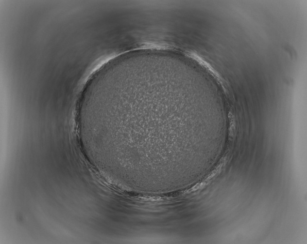 X0000112791215200909041405