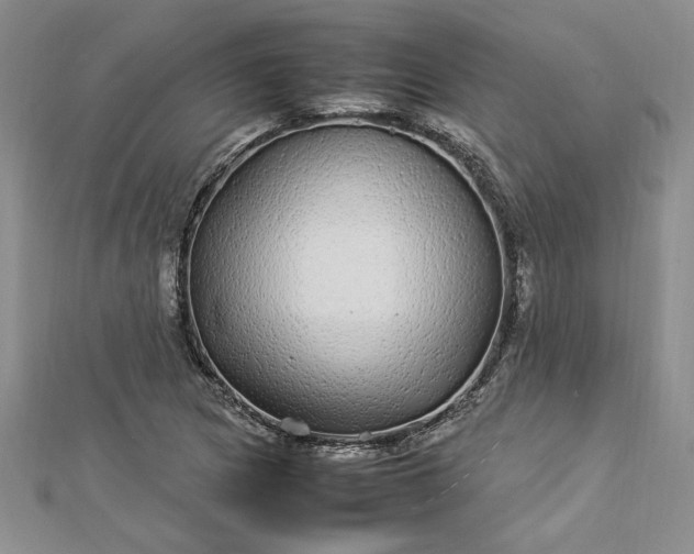 X0000112791217200909041405