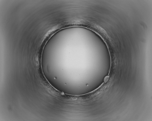 X0000112791218200909041405