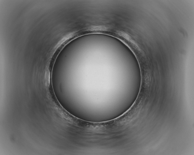 X0000112791221200909041405