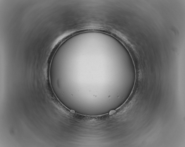 X0000112791222200909041405