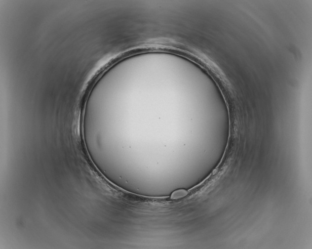 X0000112791224200909041405