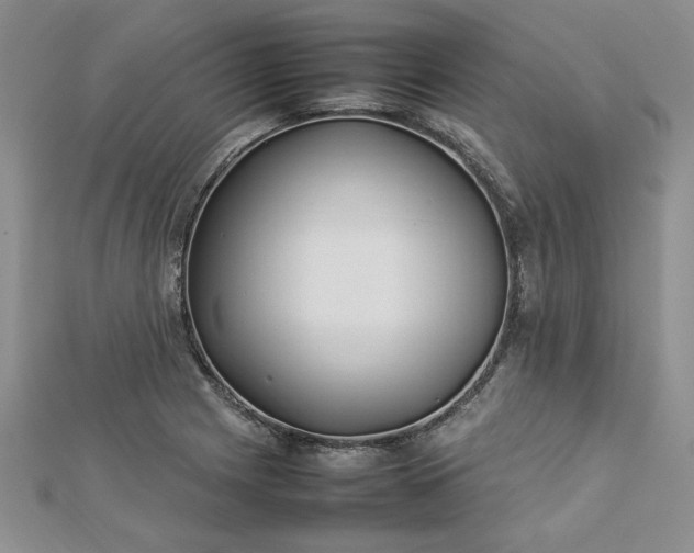 X0000112791225200909041405