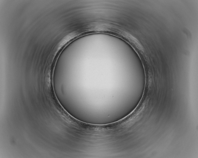 X0000112791226200909041405