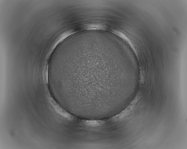 X0000112791227200909041405