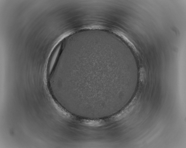 X0000112791229200909041405