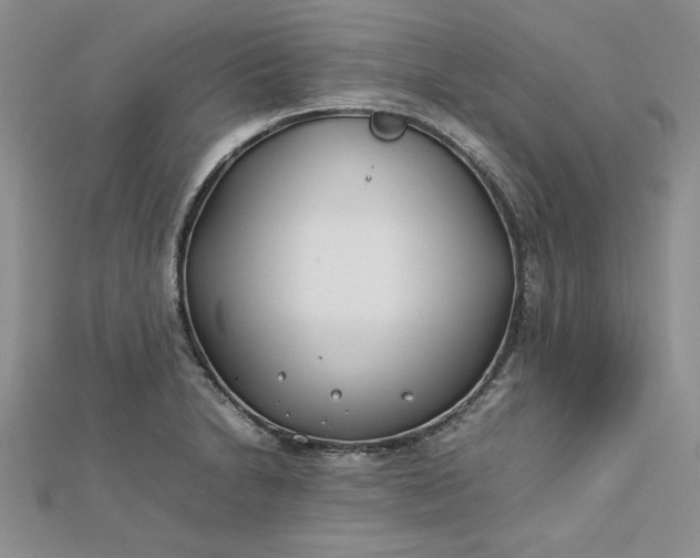 X0000112791230200909041405