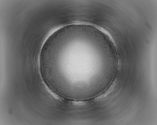 X0000112791231200909041405