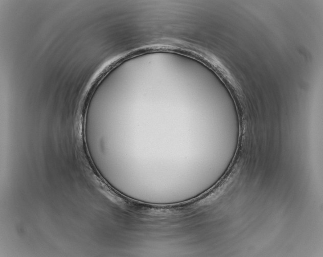 X0000112791232200909041405