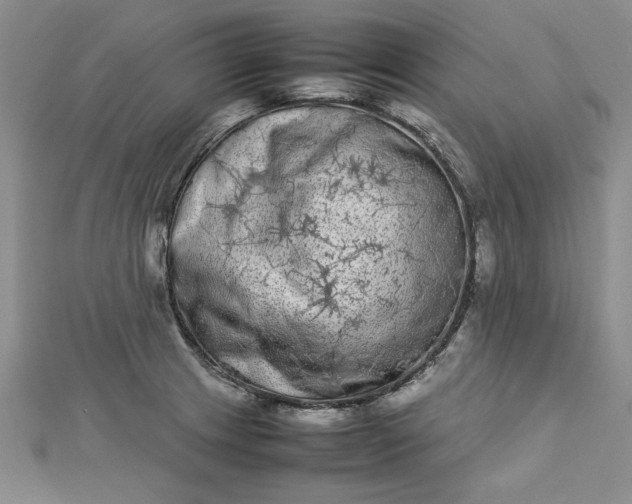 X0000112791233200909041405