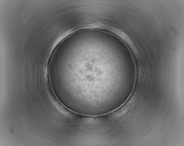 X0000112791234200909041405