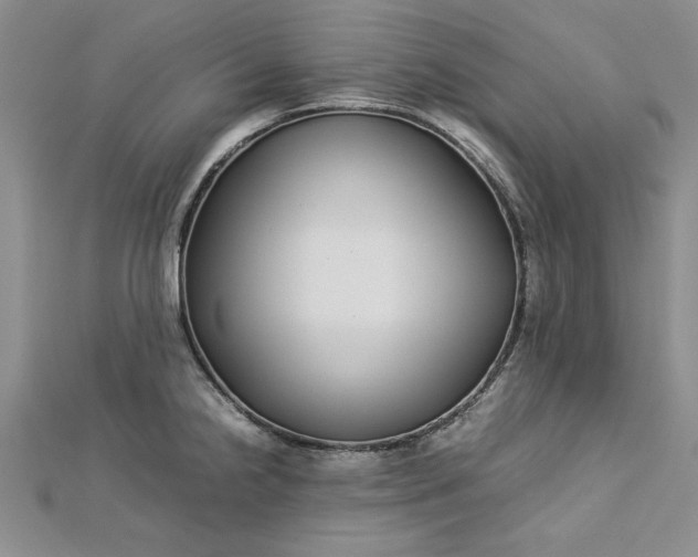 X0000112791238200909041405