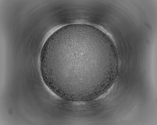 X0000112791239200909041405