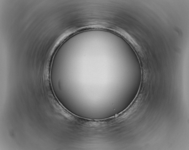 X0000112791240200909041405