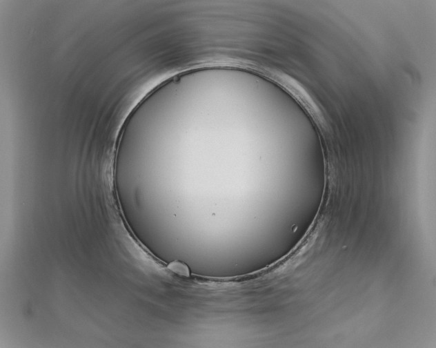 X0000112791244200909041406