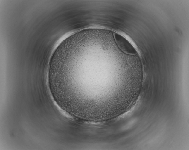 X0000112791245200909041406