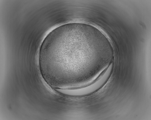 X0000112791246200909041406