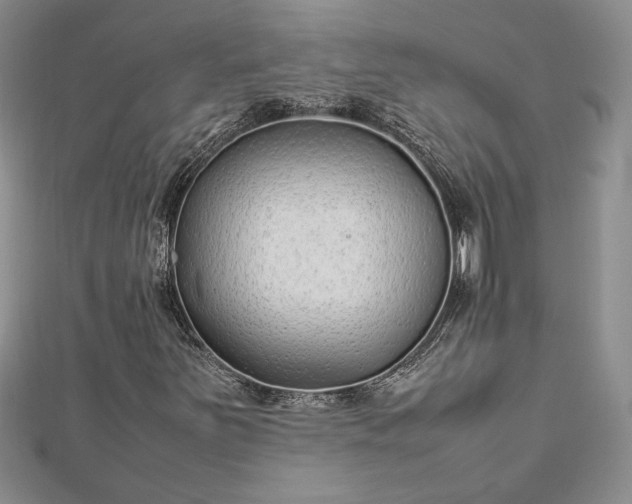 X0000112791251200909041405