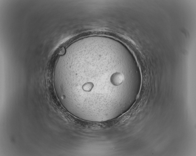 X0000112791255200909041405