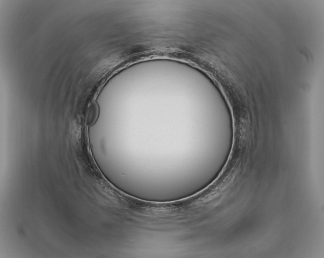 X0000112791257200909041405