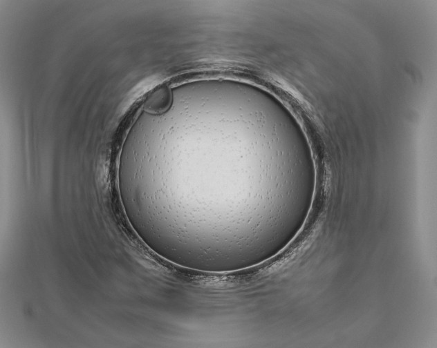 X0000112791259200909041405