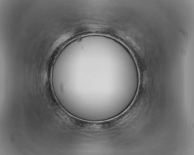 X0000112791261200909041405