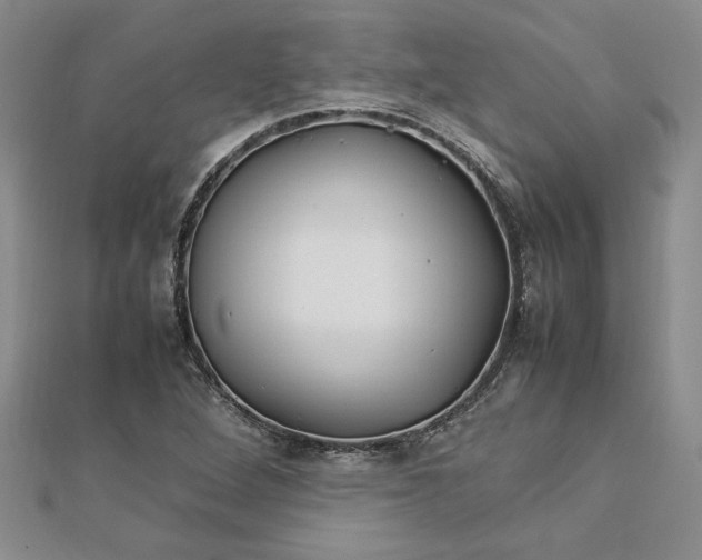 X0000112791264200909041405