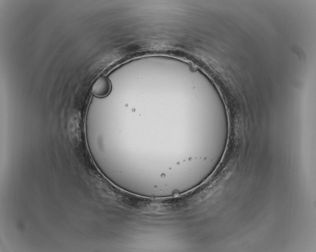 X0000112791265200909041405