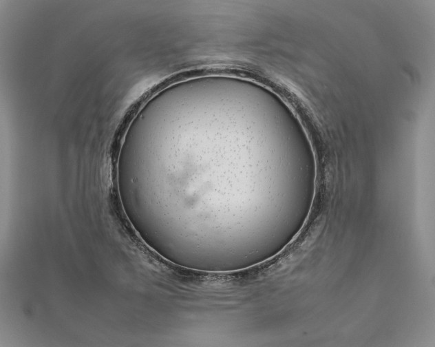 X0000112791267200909041405