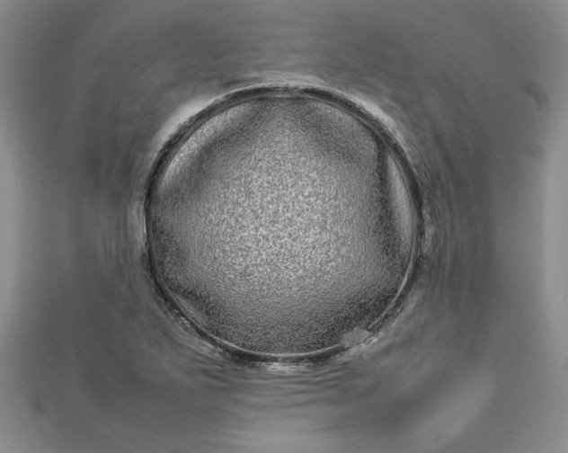 X0000112791271200909041405