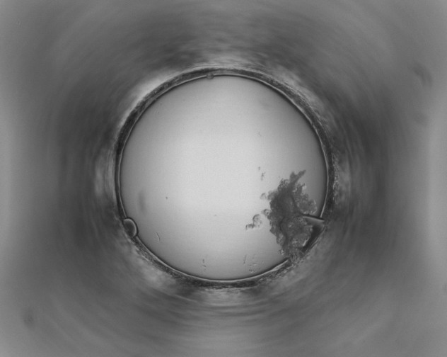 X0000112791272200909041405