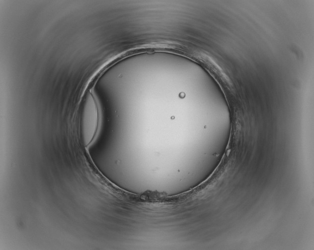 X0000112791276200909041405