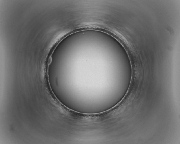 X0000112791277200909041404