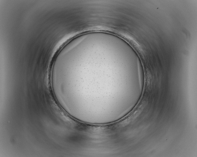 X0000112791278200909041404