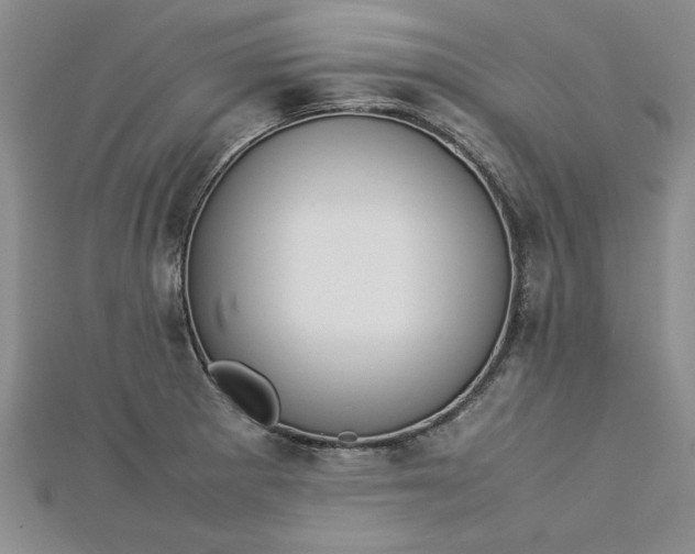 X0000112791281200909041404