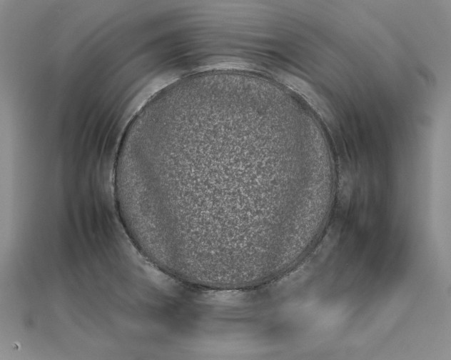 X0000112791282200909041404