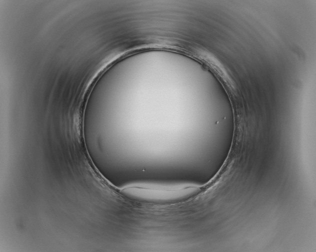 X0000112791284200909041404