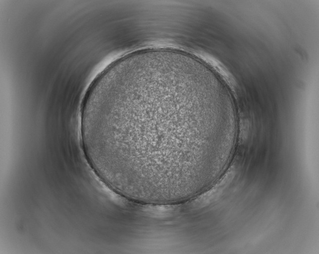 X0000112791286200909041404