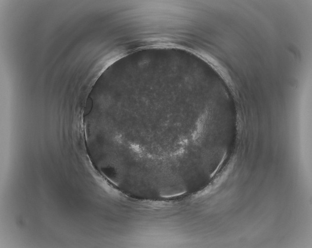 X0000112791289200909041404